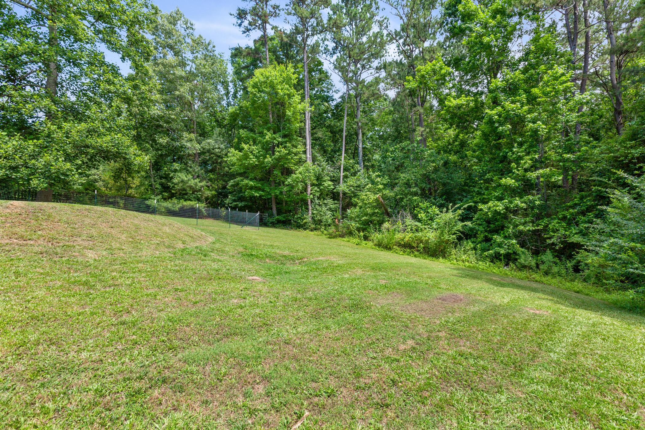 70 Castleview Drive Ringgold, GA 30736 - Photo 30 of 36 Castleview (32 of 36)