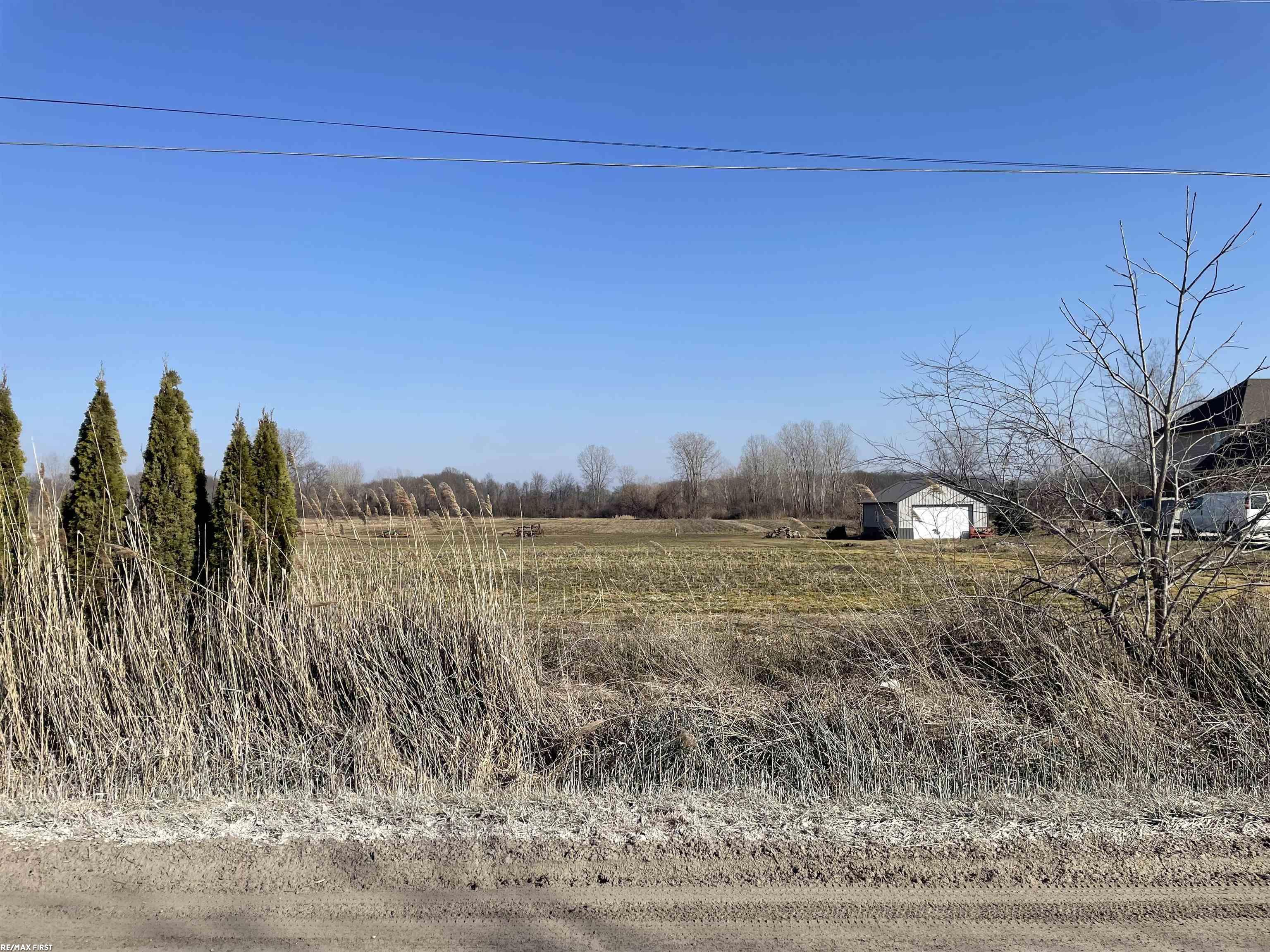 0 Wolcott Road Ray, MI 48096 - Photo 15 of 17