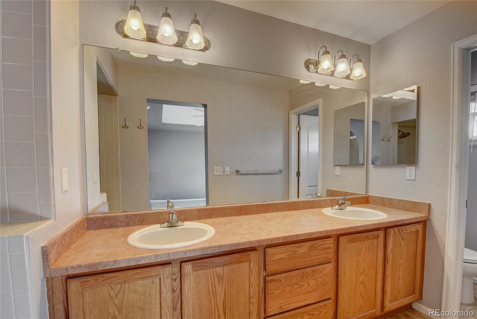 10845 Towerbridge Road Highlands Ranch, CO 80130 - Photo 26 of 35 a bathroom with a sink and a mirror