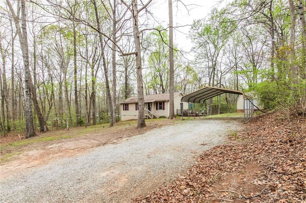 a dirt road with large trees and a wooden fence