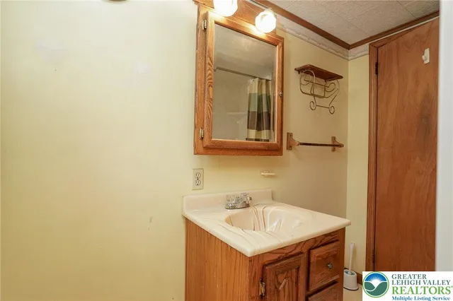 a bathroom with a sink a mirror and a shower curtain
