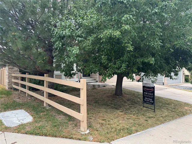 a view of a park with large trees