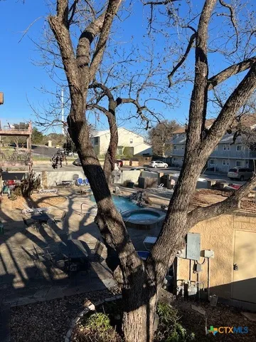 a view of a backyard with plants