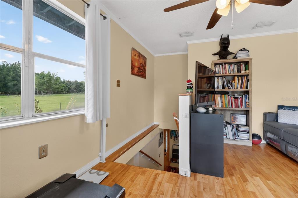 3126 Toole Road Lithia, FL 33547 - Photo 27 of 66