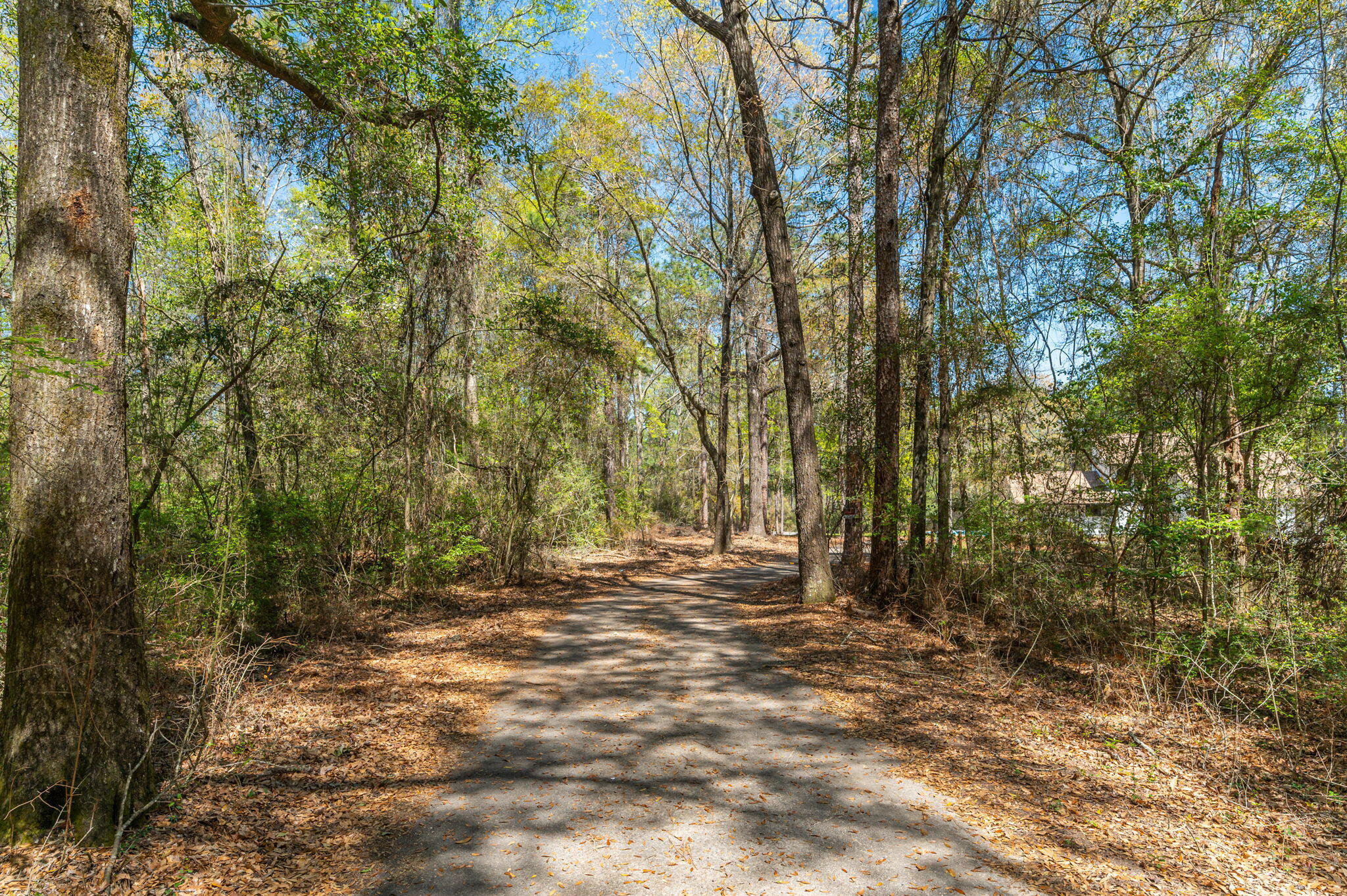 2787 Lake Silver Road Crestview, FL 32536 - Photo 81 of 85 82-web-or-mls-2787-lake-silver-rd