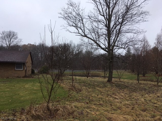 7827 Beach Road Wadsworth, OH 44281 - Photo 11 of 35 Gallery Image 11