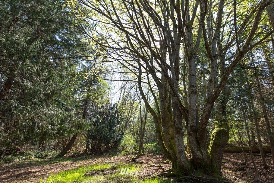 607 Lake Farm Road Port Angeles, WA 98362 - Photo 6 of 40
