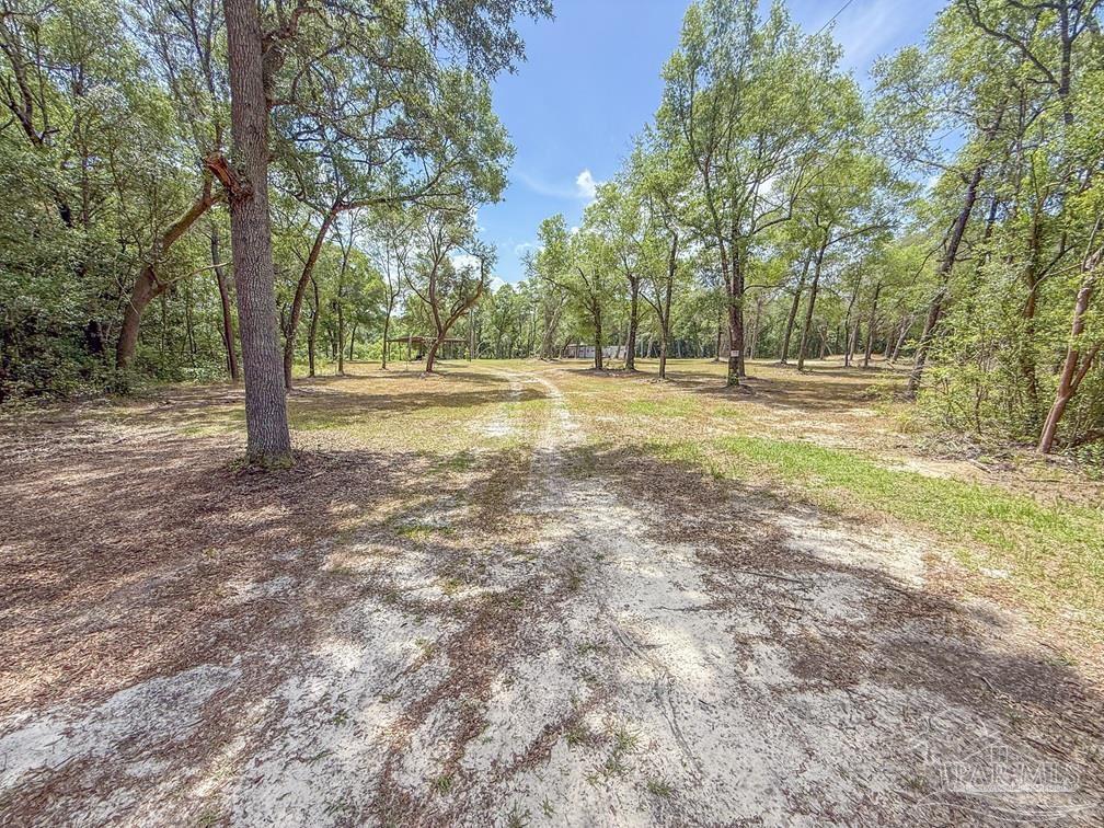 4020 Easy Street Holt, FL 32564 - Photo 3 of 19 a view of a yard with large trees