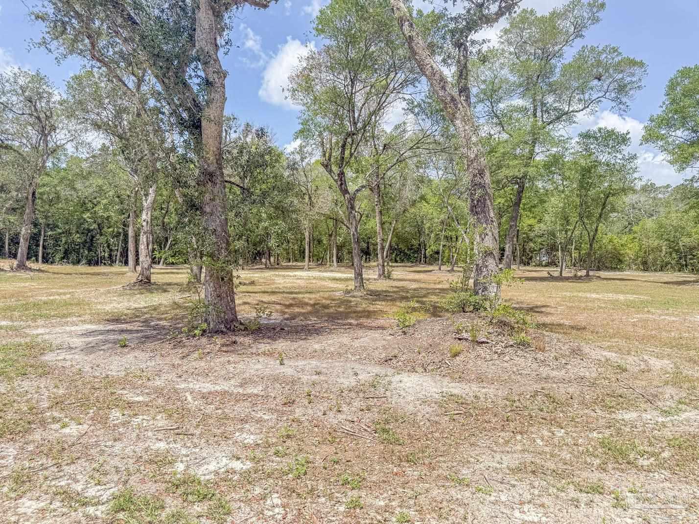 4020 Easy Street Holt, FL 32564 - Photo 5 of 19 a view of road with trees