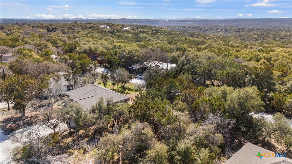 1738 Cave Drive Spring Branch, TX 78070 - Photo 11 of 18 a view of a city with lush green forest