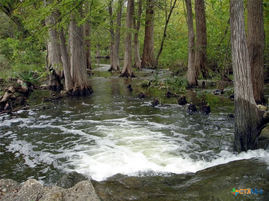 1738 Cave Drive Spring Branch, TX 78070 - Photo 17 of 18 a view of outdoor space with trees