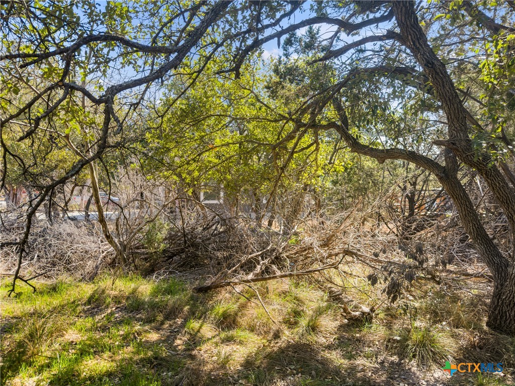 1738 Cave Drive Spring Branch, TX 78070 - Photo 2 of 18 a yard with a tree