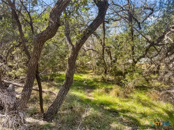 a backyard of a house with lots of trees