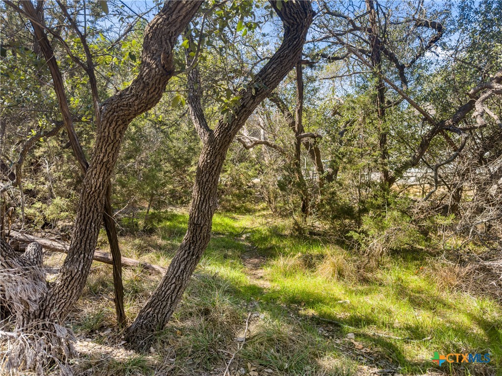 1738 Cave Drive Spring Branch, TX 78070 - Photo 3 of 18 a backyard of a house with lots of trees