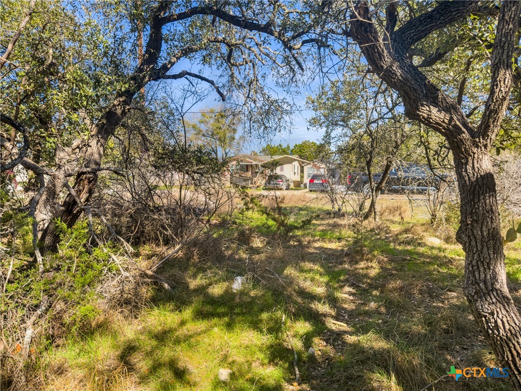 1738 Cave Drive Spring Branch, TX 78070 - Photo 4 of 18 a backyard of a building