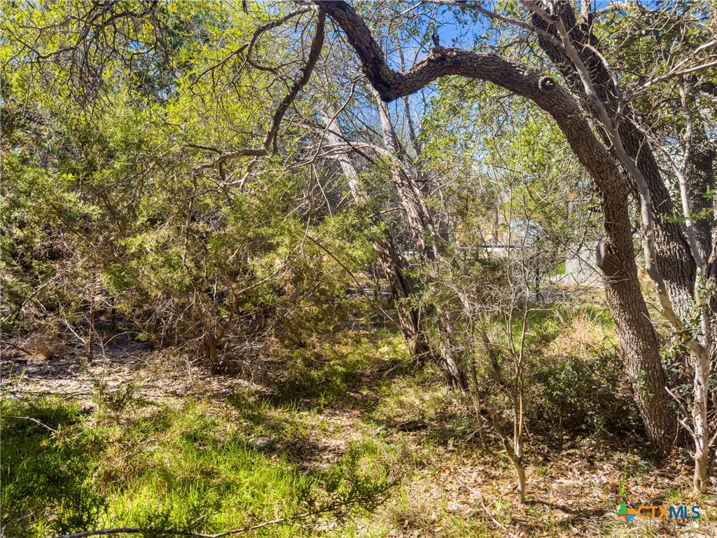 1738 Cave Drive Spring Branch, TX 78070 - Photo 5 of 18