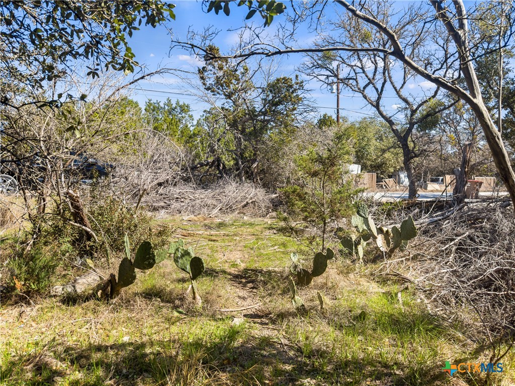 1738 Cave Drive Spring Branch, TX 78070 - Photo 7 of 18 a view of ocean