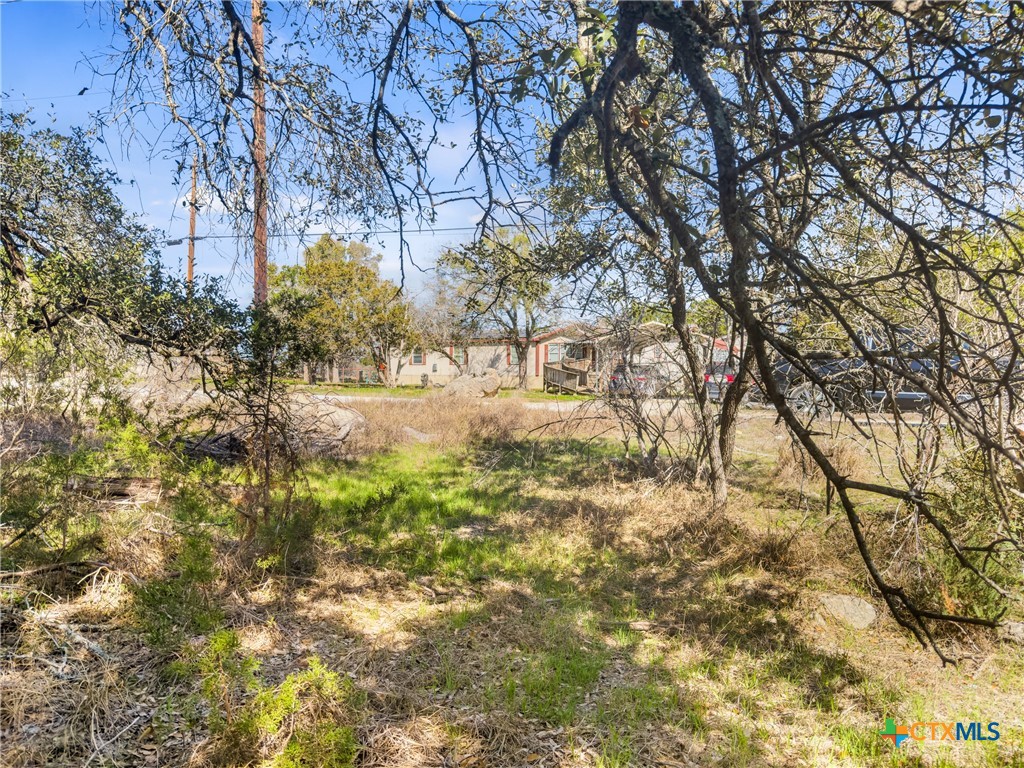 1738 Cave Drive Spring Branch, TX 78070 - Photo 8 of 18