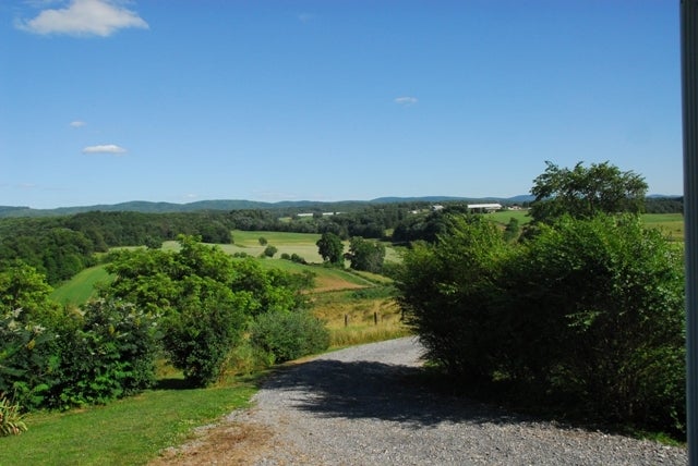 123 Bogg's Road Frankford, WV 24938 - Photo 5 of 11 Gallery Image 5