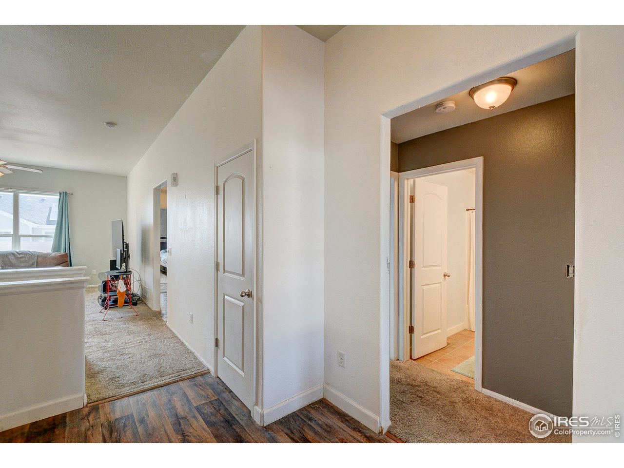7034 McClellan Road Wellington, CO 80549 - Photo 3 of 25 Gallery Image 3