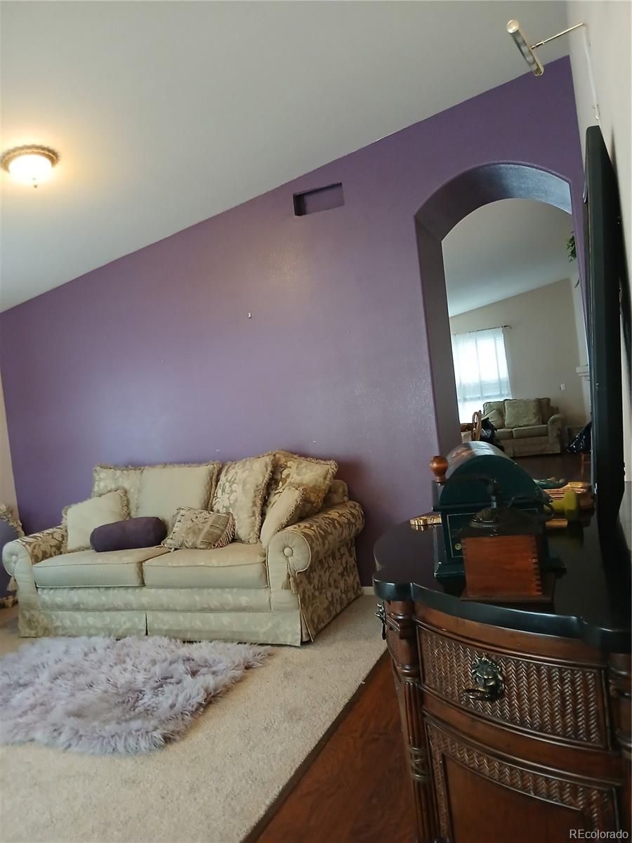 7093 Leopard Drive Lone Tree, CO 80124 - Photo 5 of 11