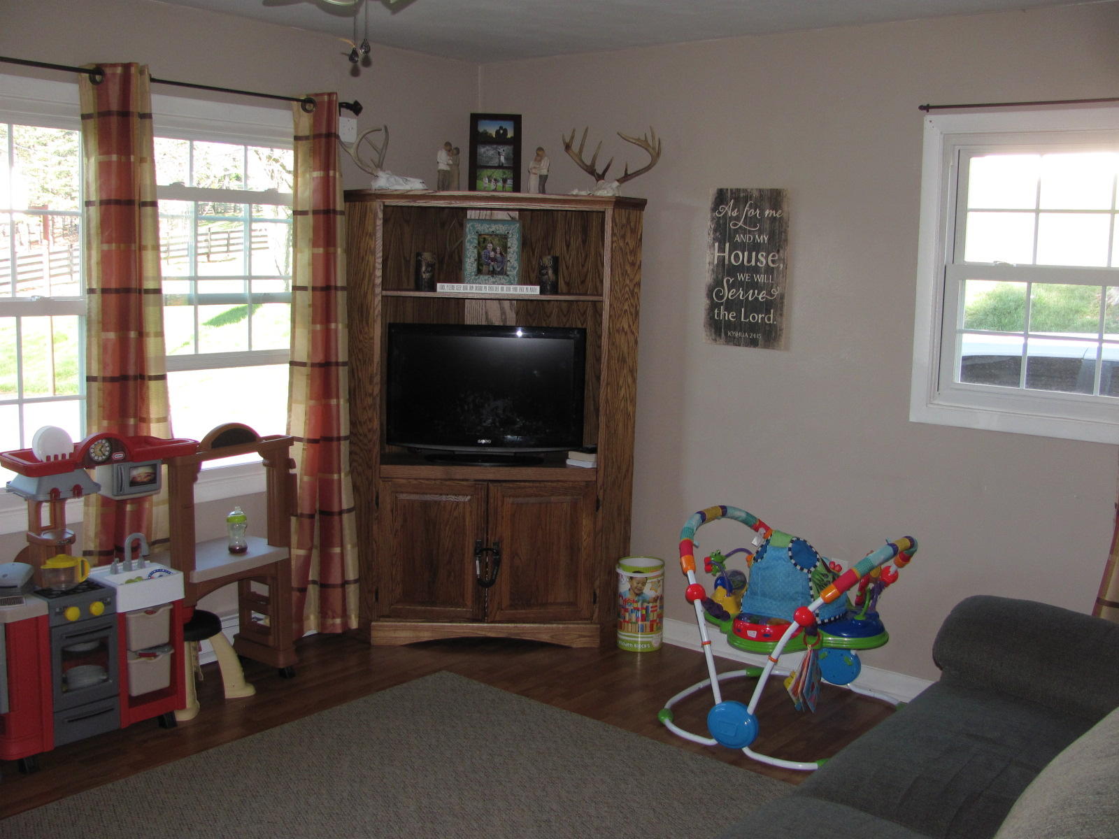 731 Mountain Pass Road Blue Ridge, VA 24064 - Photo 3 of 25 Living Room