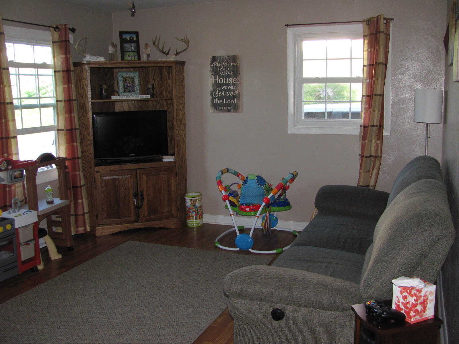 731 Mountain Pass Road Blue Ridge, VA 24064 - Photo 4 of 25 Living Room