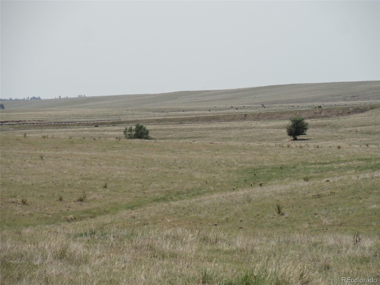 8998 County 2a Road Rush, CO 80833 - Photo 3 of 3