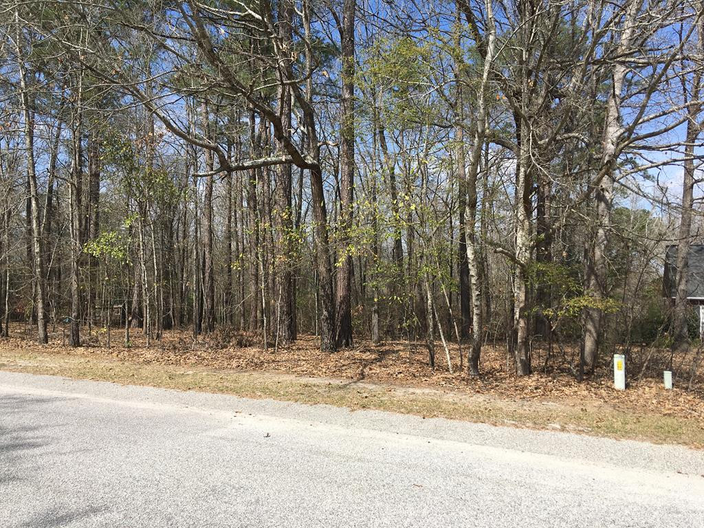 3045 Old Spring Road Sumter, SC 29154 - Photo 1 of 9 Gallery Image 1