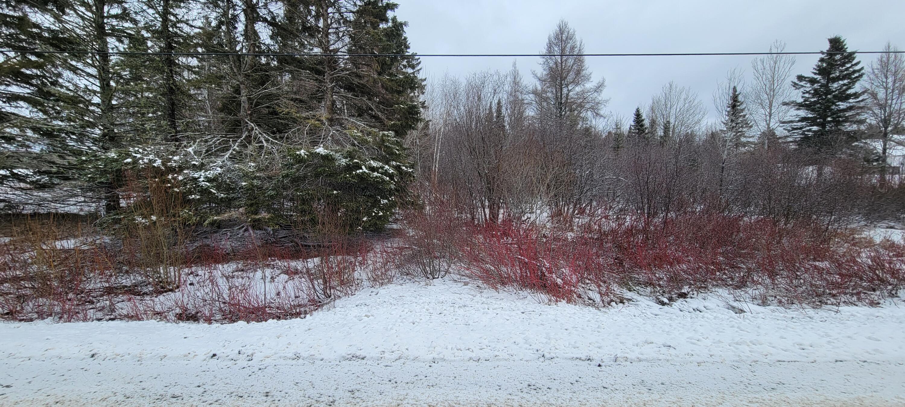 54 D Lavertu Road St. David, ME 04773 - Photo 7 of 9 20240318_093123