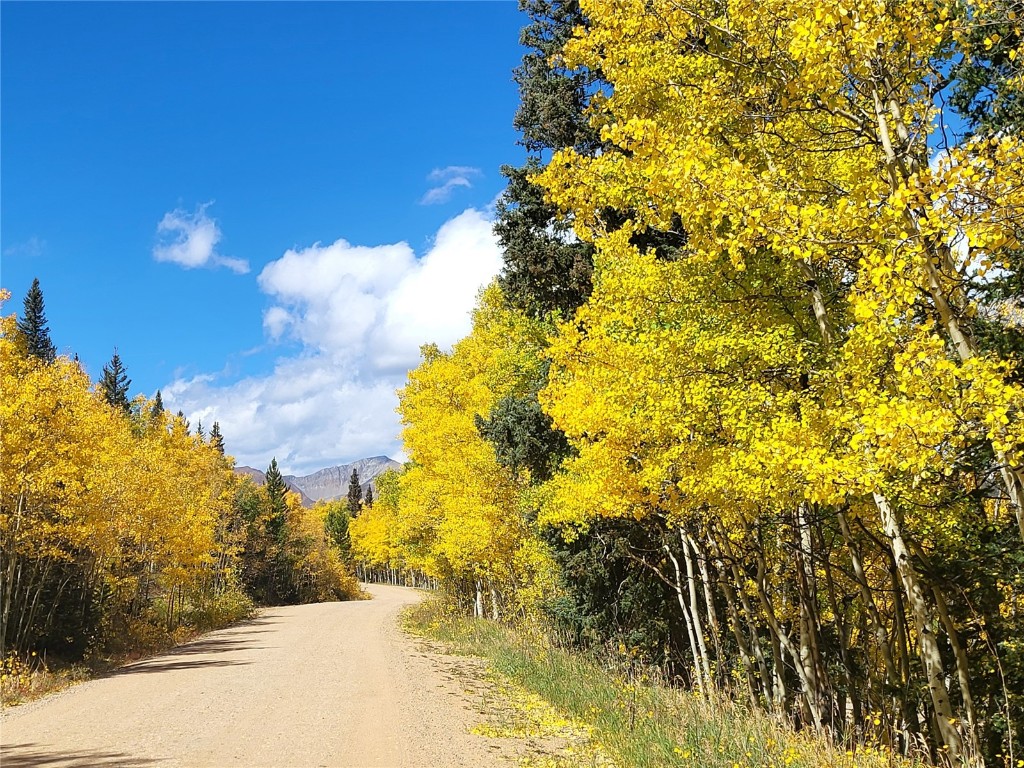 Tbd Michigan Hill Road Jefferson, CO 80456 - Photo 17 of 44 a view of a yard