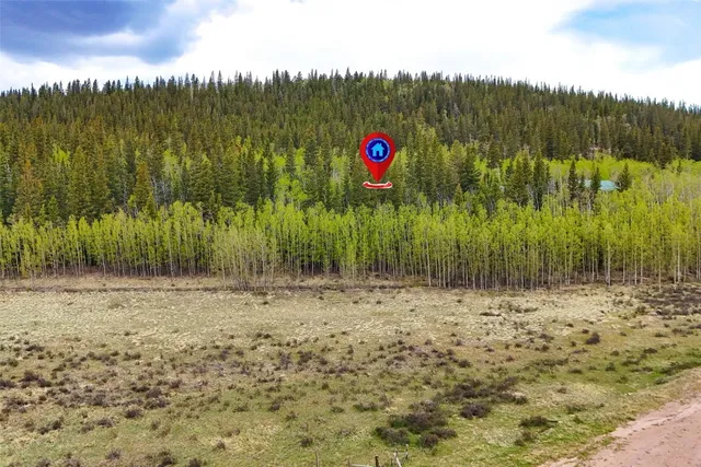 a view of a dry yard with trees