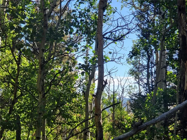 a view of a city and mountain view