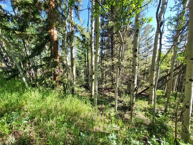 a view of a pathway both side of grassy field with trees