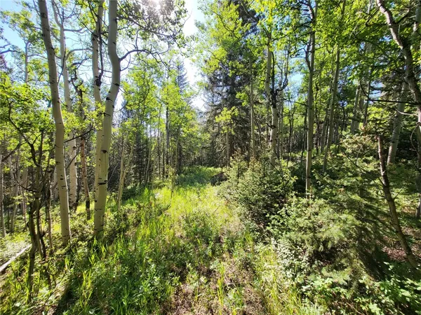 a view of yard with green space