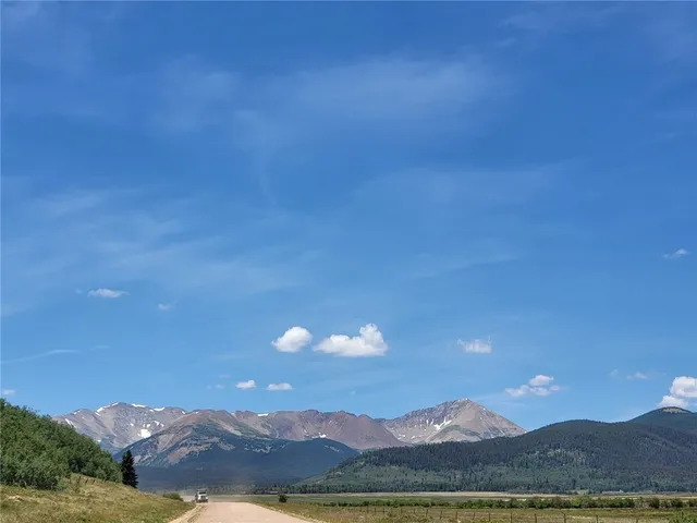 a view of a bunch of trees in a yard