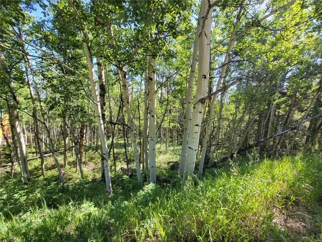 a view of a town with mountains in the background