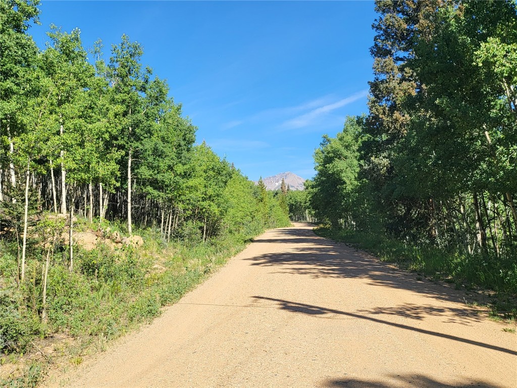 Tbd Michigan Hill Road Jefferson, CO 80456 - Photo 34 of 44 a view of yard with green space