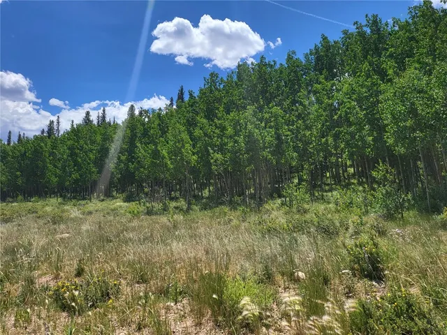 a view of a yard with trees in the background