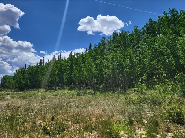 a view of an ocean from a yard