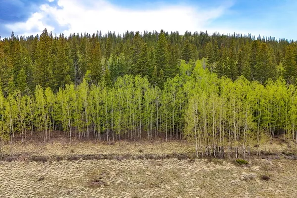 $85,000 | Tbd Michigan Hill Road, Jefferson, CO 80456