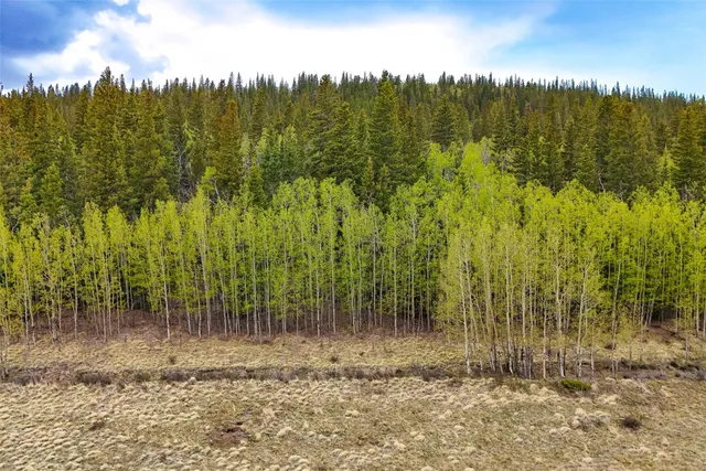 $120,000 | Tbd Michigan Hill Road, Jefferson, CO 80456