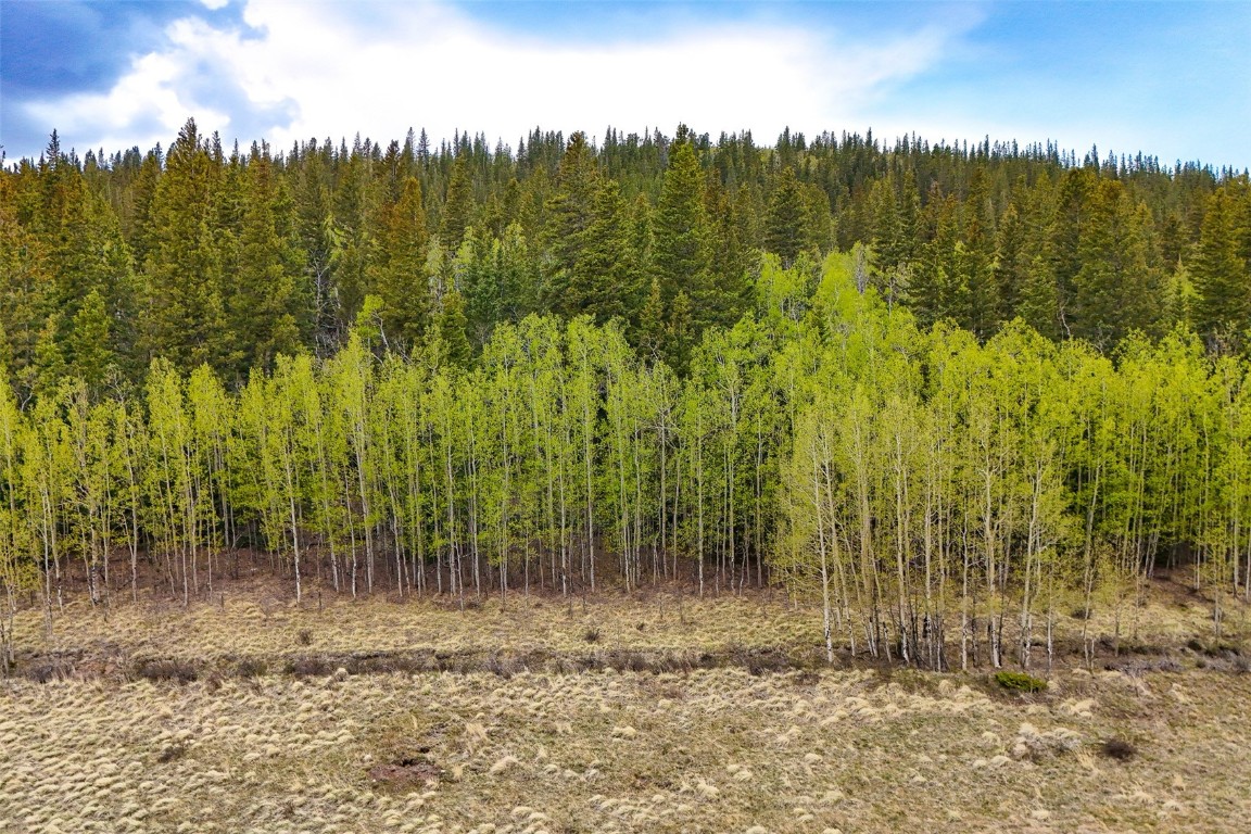 Tbd Michigan Hill Road Jefferson, CO 80456 - Photo 41 of 44 a view of a yard with trees in the background
