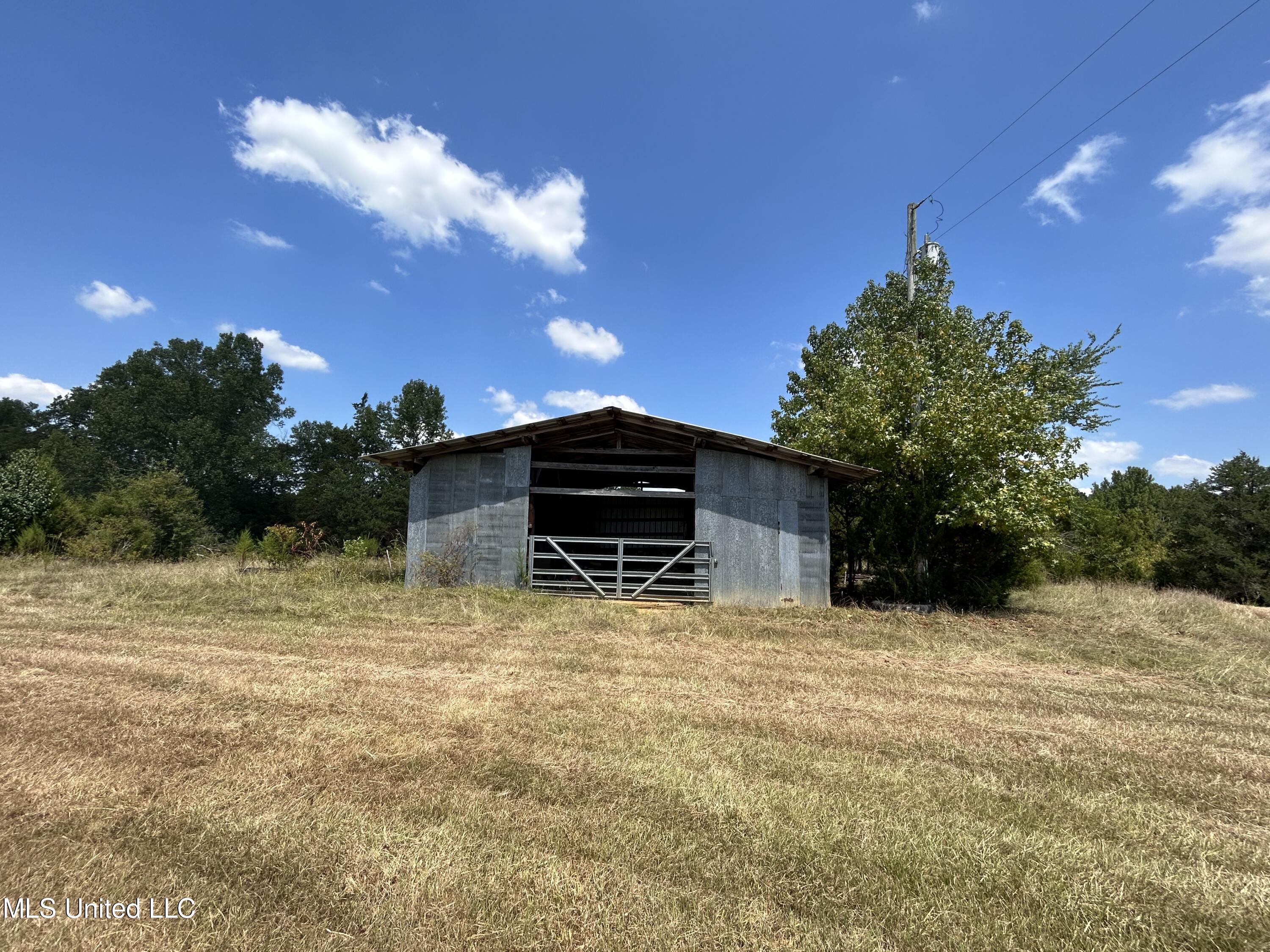 694 Pat Luckett Road Canton, MS 39046 - Photo 12 of 44 Hayes Barn 1