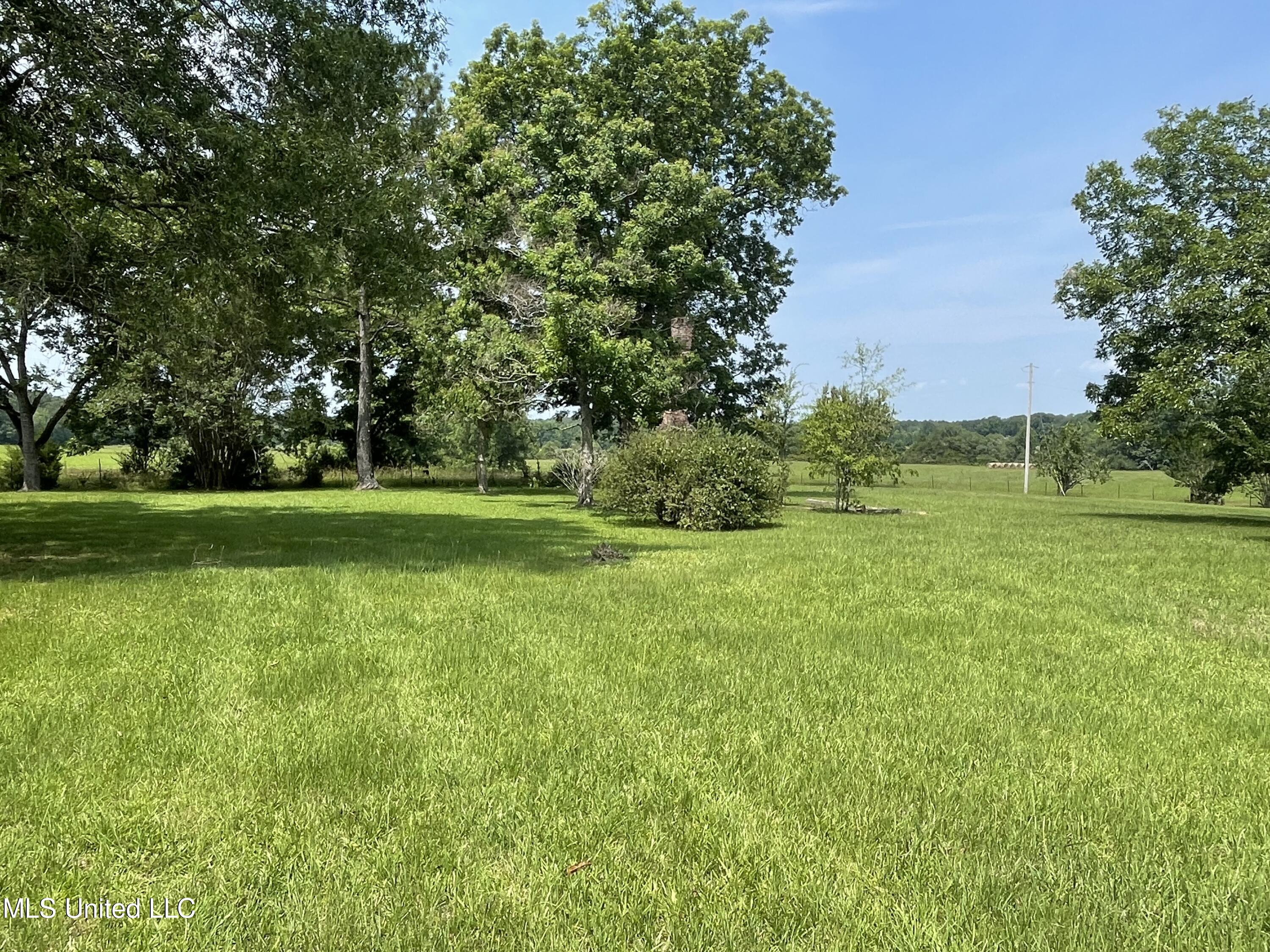 694 Pat Luckett Road Canton, MS 39046 - Photo 2 of 44 Hayes 2