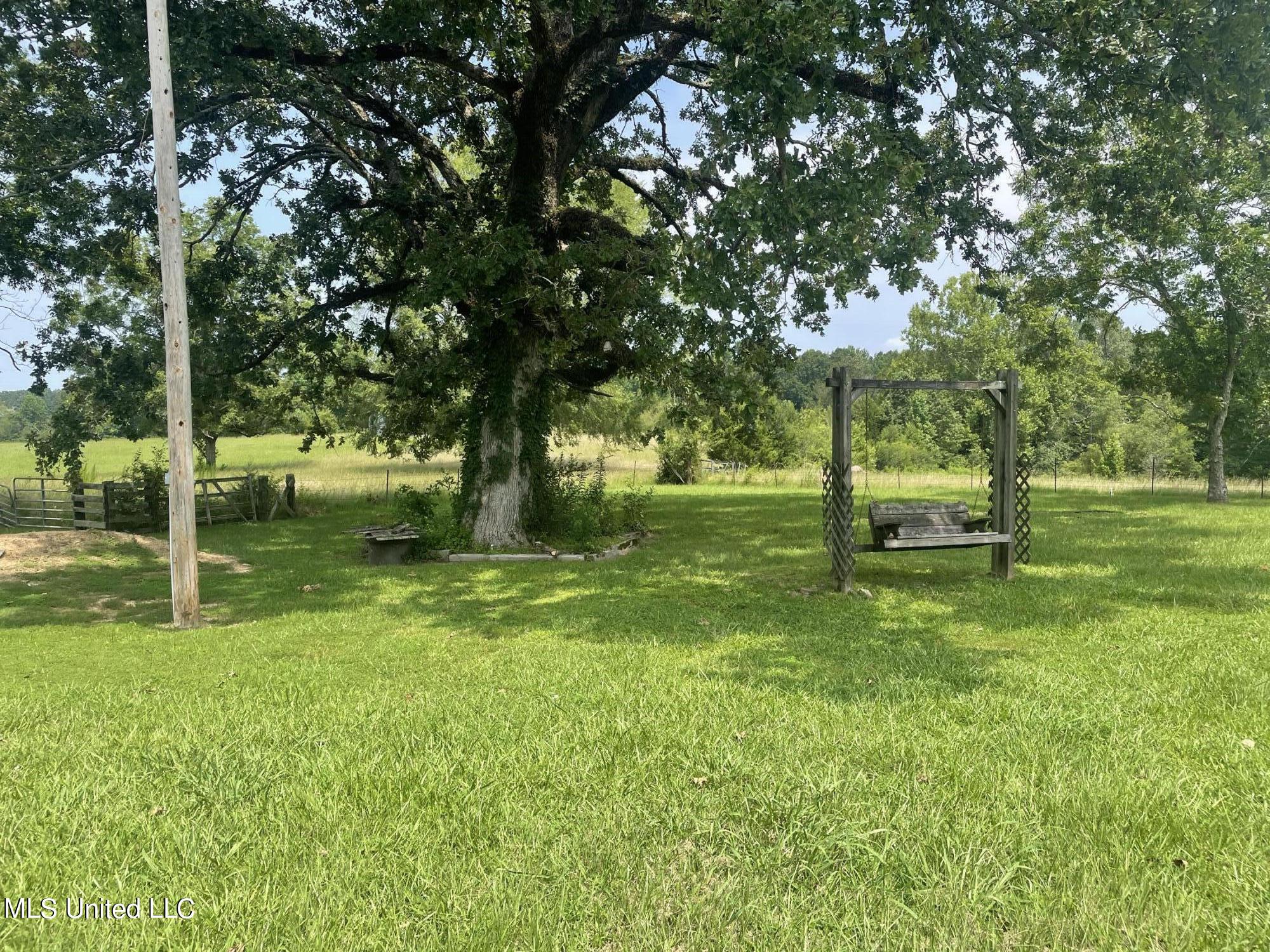 694 Pat Luckett Road Canton, MS 39046 - Photo 5 of 44 Hayes 6