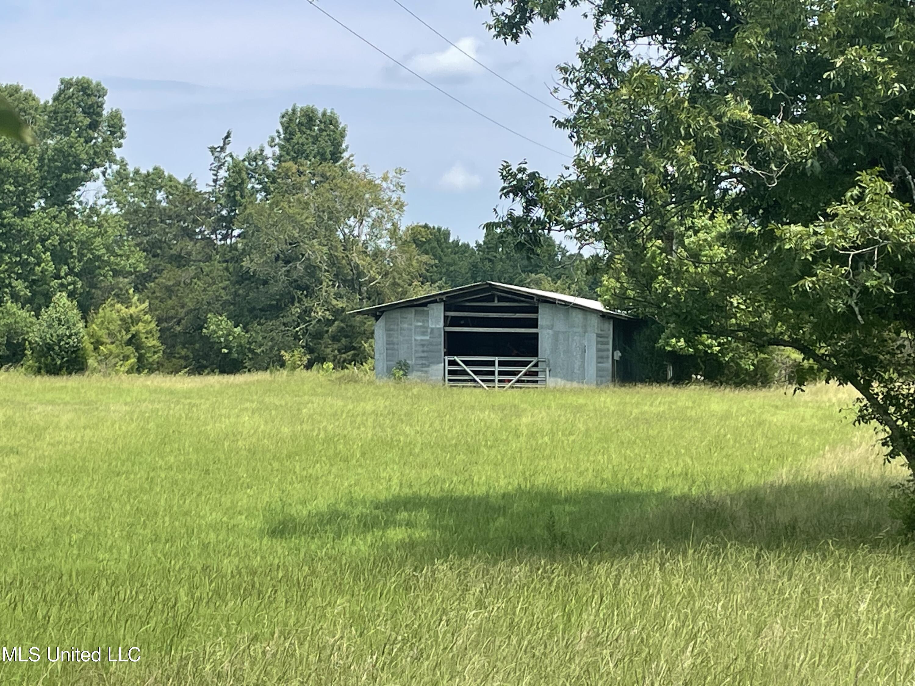 694 Pat Luckett Road Canton, MS 39046 - Photo 9 of 44 Hayes 10