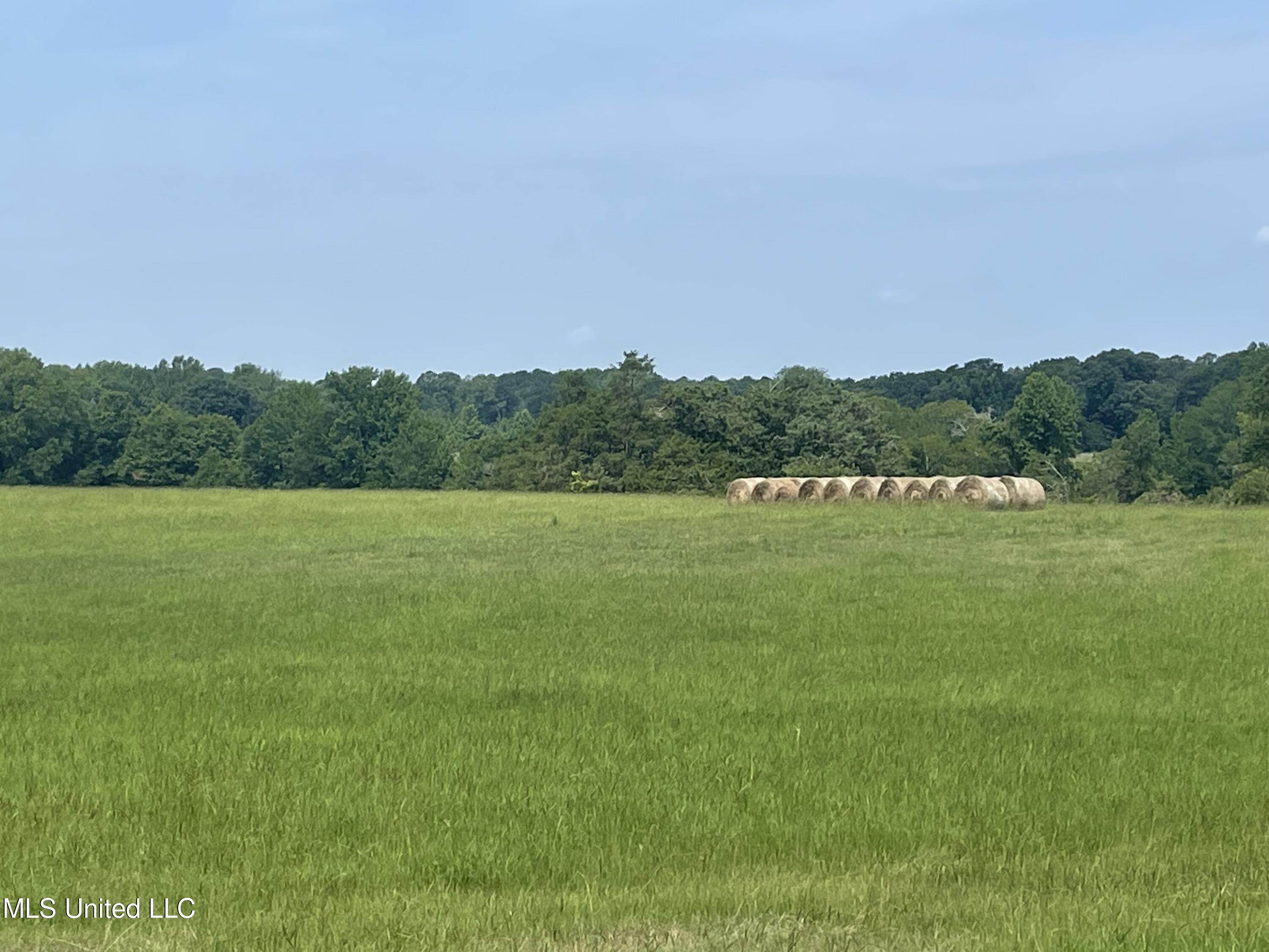 694 Pat Luckett Road Canton, MS 39046 - Photo 10 of 44 Hayes 11