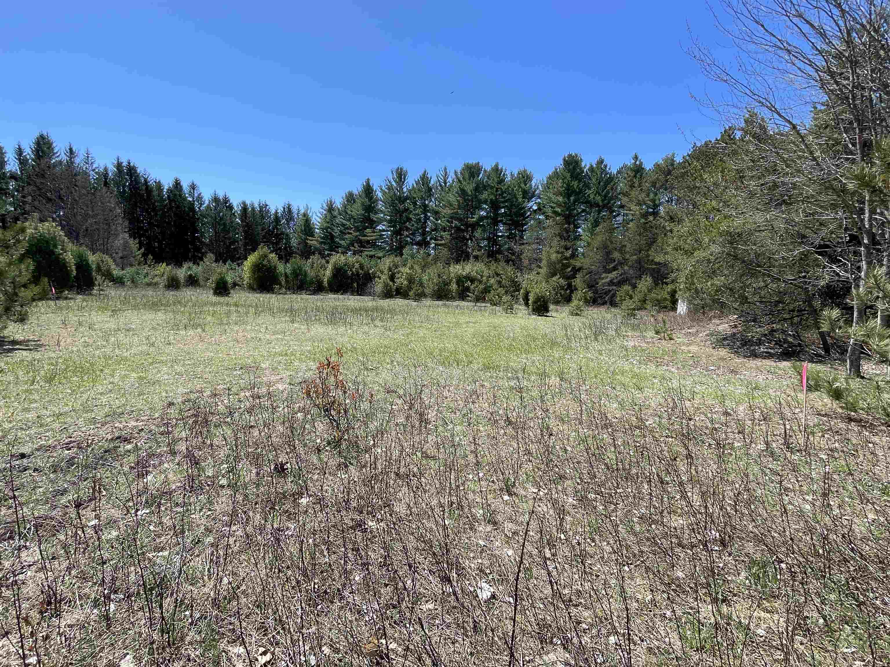 0 East 38 Road Cadillac, MI 49601 - Photo 16 of 39