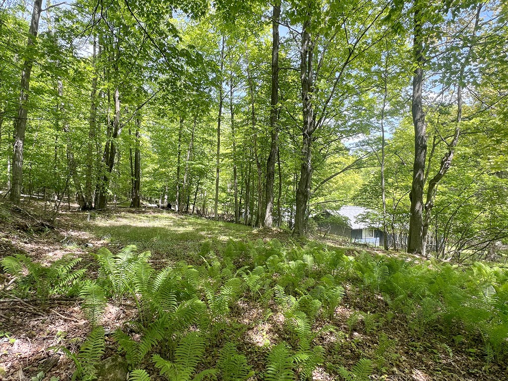 1909 Main Road Washington Island, WI 54246 - Photo 5 of 21